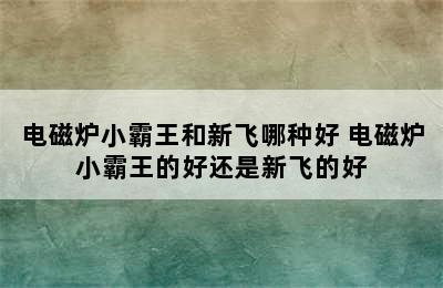 电磁炉小霸王和新飞哪种好 电磁炉小霸王的好还是新飞的好